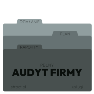 Audyt Firmy - Pełny