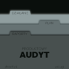 Audyt - Produktowy